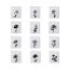 Picture of 304 Stainless Steel Birth Month Flower Charms Silver Tone Black Rectangle Flower