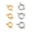 Picture of 304 Stainless Steel Spring Ring Clasps Round Gold Plated & Silver Tone