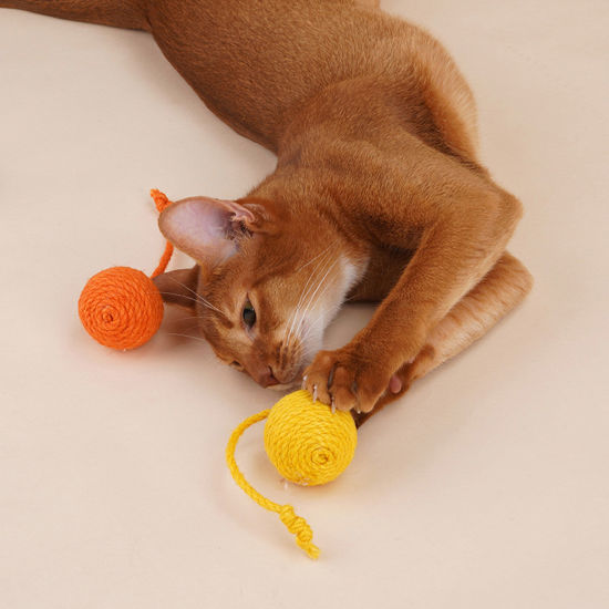 Picture of Bite Resistant 3 In 1 Catnip Sisal Balls Cat Toy Durable Portable Tear-Resistant Keep Your Pets Stimulated Active And Happy