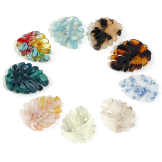 Picture of Acetic Acid Resin Acetate Acrylic Acetimar Marble Flora Collection Charms Multicolor Monstera Leaf 