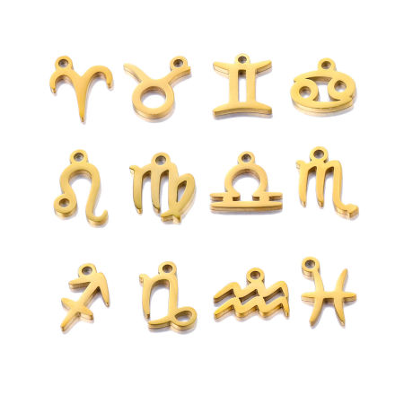 ステンレス鋼 チャーム 多色 星座 つやだし 9.5mm x 9.5mm