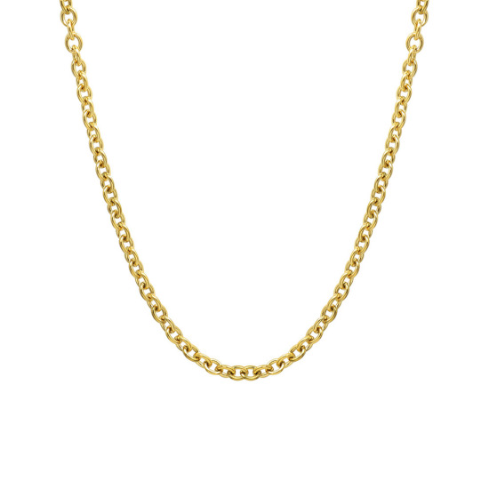 Bild von Umweltfreundlich Einfach und lässig Stilvoll 18K Vergoldet 304 Edelstahl Schmuckkette Kette Halskette Für Frauen 1 Strang