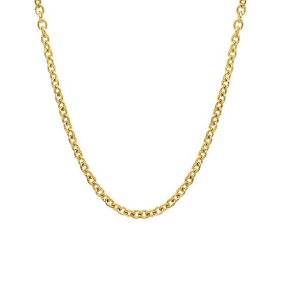 Picture of Eco-friendly Simple & Casual Stylish 18K Real Gold Plated 304 Stainless Steel Link Chain Necklace For Women