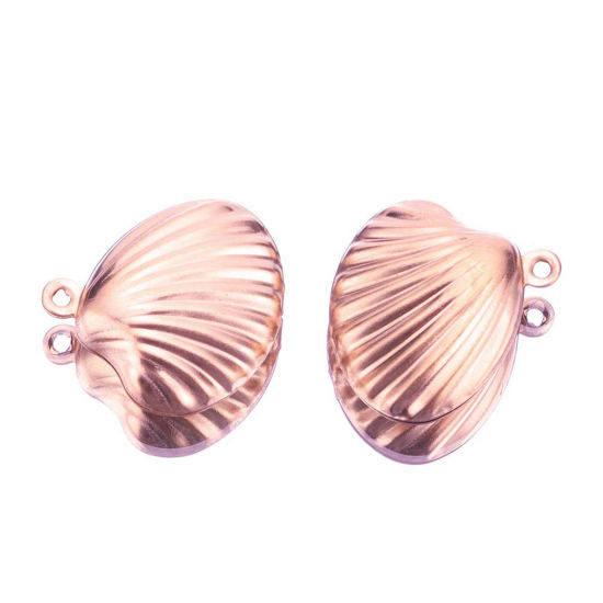 Picture of 304 Stainless Steel Ocean Jewelry Charms Multicolor Shell 19mm x 19mm