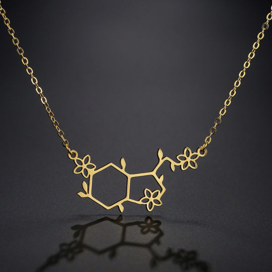 Image de Colliers en 304 Acier Inoxydable Pendentif Molécule de Sérotonine Charme Géométrique Chimie Multicolore Polygone 45cm Long, 1 Pièce