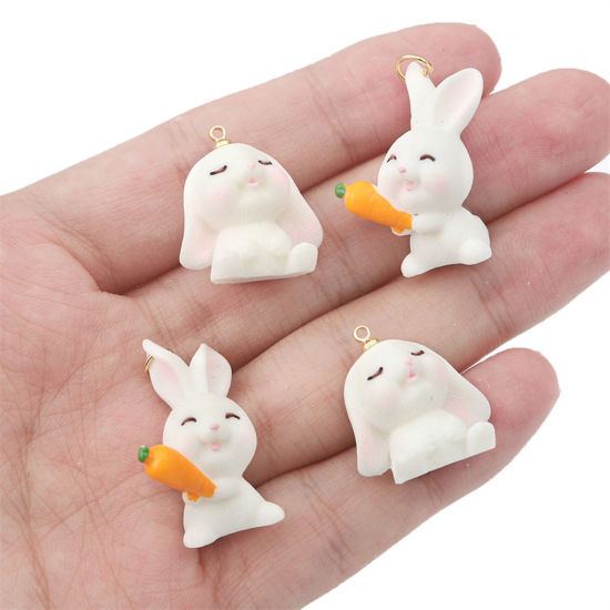 Bild von Harz Ostertag Charms Hase Halloween Elfe Bunt 3D 2 Stück