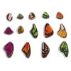Imagen de Acrílico Insecto Colgantes Charms Ala de Mariposa Multicolor 10 Unidades