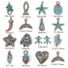 Picture of Zinc Based Alloy Patina Charms Antique Copper Star Fish Shell
