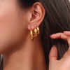 Picture of Eco-friendly 304 Stainless Steel Hoop Earrings