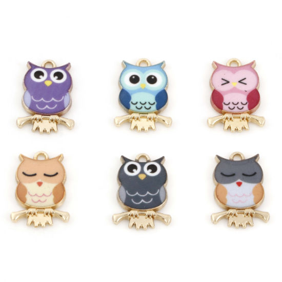 Picture of Zinc Based Alloy Halloween Charms Gold Plated Multicolor Owl Animal Enamel 21.5mm x 15mm