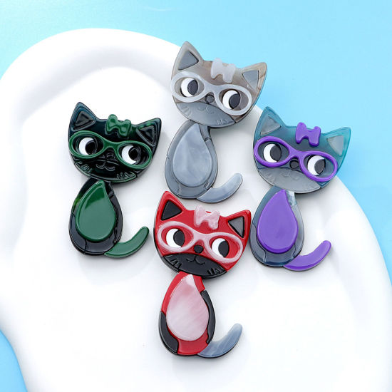Picture of Acetic Acid Resin Acetate Acrylic Acetimar Marble Cute Pin Brooches Cat Animal Multicolor