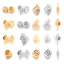 Imagen de Latón Colgantes Charms Caracola Oro Real Chapado Hélice 3D 13mm x 10.5mm, 2 Unidades