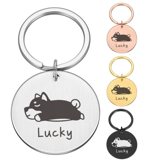 Picture of Stainless Steel & Iron Based Alloy Blank Stamping Tags Keychain & Keyring Round Double-sided Polishing