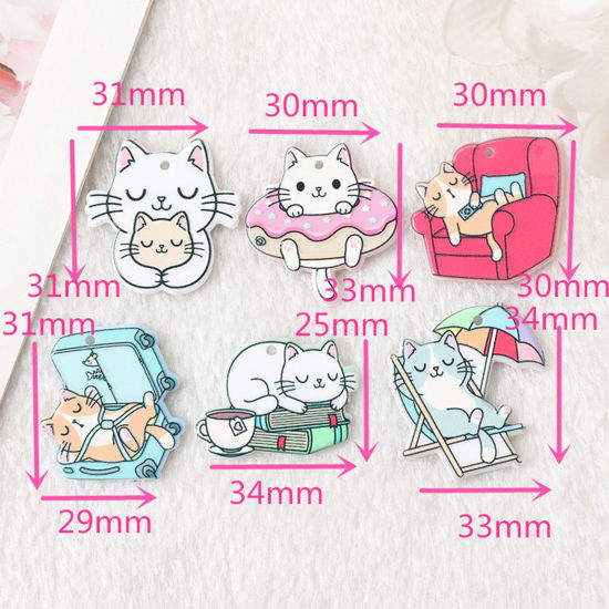 Picture of Acrylic Pendants Cat Animal Multicolor Double Sided