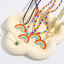 Imagen de Elegante Collar con Colgante Chapado en Oro Arco Iris 1 Unidad