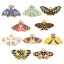 Picture of Zinc Based Alloy Insect Charms Gold Plated Multicolor Moth Sun & Moon Enamel