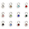 Picture of 304 Stainless Steel Birthstone Charms Silver Tone Round 6mm x 3mm