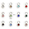 Picture of 304 Stainless Steel Birthstone Charms Silver Tone Round 6mm x 3mm