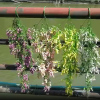 Imagen de Artificial Flower Violet Flower Multicolor