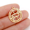 Picture of 304 Stainless Steel Charms Round Constellation Hollow 22mm x 20mm