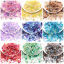 Picture of Glass Ocean Jewelry Mixed Assorted Beads With Seed Beads Kit For DIY Jewelry Making Fish Animal Star Fish Multicolor