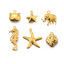 Immagine di 5 Pz 304 Acciaio Inossidabile Semplice Charms Stella di Mare Multicolore Cavalluccio Marino