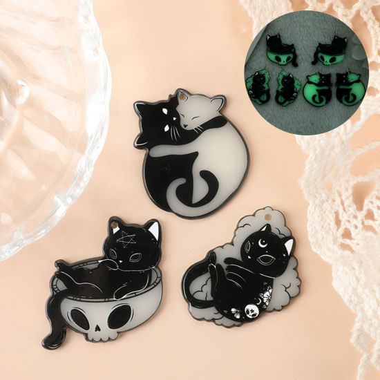 Picture of Acrylic Glow In The Dark Pendants Cat Animal Black & White Double Sided
