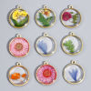 Picture of Handmade Resin Jewelry Real Flower Charms Round Disc Flower Gold Plated 22mm x 19mm