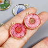 Picture of Handmade Resin Jewelry Real Flower Charms Round Disc Flower Gold Plated 22mm x 19mm