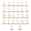 Image de 2 Pcs Breloques Respectueux de la Nature en Laiton Plaqué Or Véritable 18K Alphabet Majuscule Lettre Initiale Message " A-Z "