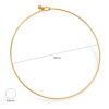 Picture of 304 Stainless Steel Collar Neck Ring Necklace Round 43cm(16 7/8") long