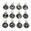 Picture of 304 Stainless Steel Charms Silver Tone Black Round Constellation Enamel 26mm x 17mm