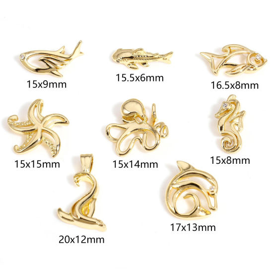 Bild von 1 Stück Messing Ozean Schmuck Charms 14K echt Vergoldet Hohl