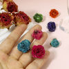 Imagen de 1 Unidad Artesanial Resina Flor Real Colgantes Flor Hoja 3D Multicolor Multicolor 20mm x 16mm