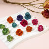 Imagen de 1 Unidad Artesanial Resina Flor Real Colgantes Flor Hoja 3D Multicolor Multicolor 20mm x 16mm