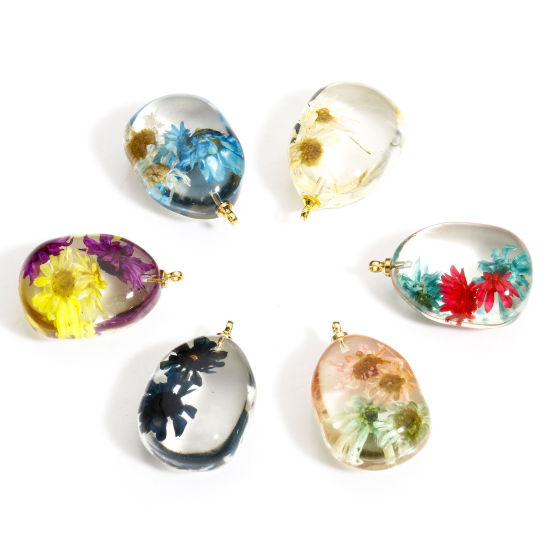 Picture of Handmade Resin Jewelry Real Flower Charms Drop Daisy Flower Gold Plated Multicolor 25mm x 16mm