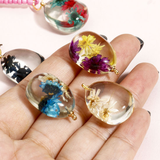 Picture of Handmade Resin Jewelry Real Flower Charms Drop Daisy Flower Gold Plated Multicolor 25mm x 16mm