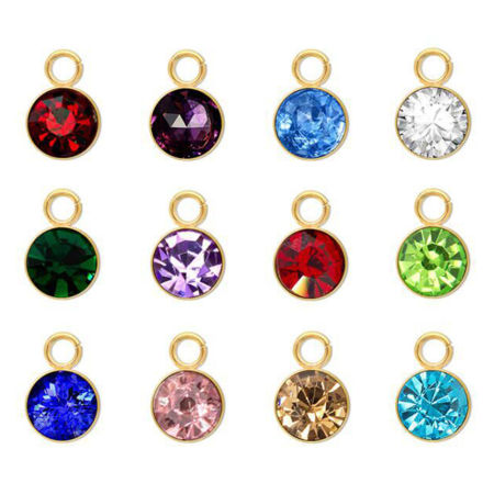 5 Stück 304 Edelstahl Monatsstein Charms Rund Vergoldet 9mm x 6mm