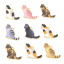 Picture of Zinc Based Alloy Charms Gold Plated Multicolor Cat Animal Enamel 19mm x 17mm