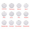 Image de 2 Pcs Breloques en 304 Acier Inoxydable Fleur de Mois de Naissance Rond Argent Mat 12mm Dia.