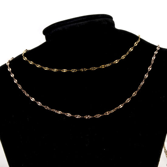 Immagine di 1 Pz 304 Acciaio Inossidabile Catena delle Labbra Collana Con Aragosta Fermagli Fibbia e Catena di Estensione 40cm Lunghezza, Dimensione della Catena 2.5mm