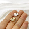 Image de 2 Pcs Breloques Mémorial d'Animaux Domestiques en Laiton Multicolore Griffe Micro Pave à Zircone Cubique Clair 12mm x 11mm