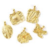 Изображение 2 ШТ Экологичный Латунь Подвески 18K настоящее золото с покрытием ископаемое
