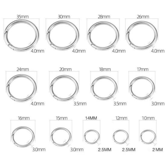Image de 1 Pièce Fermoirs à Ressort en 316 Acier Inoxydable Respectueux de la Nature Argent Mat