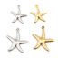 Imagen de Acero Inoxidable Joyería del océano Colgantes Charms Estrella de mar Chapado en Oro 22mm x 20mm, 10 Unidades