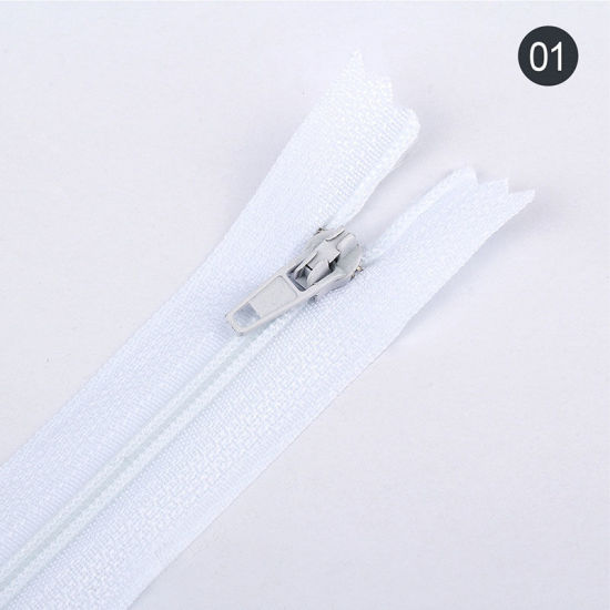 Picture of Nylon Zipper For Tailor Sewing Craft White 20cm, 10 PCs