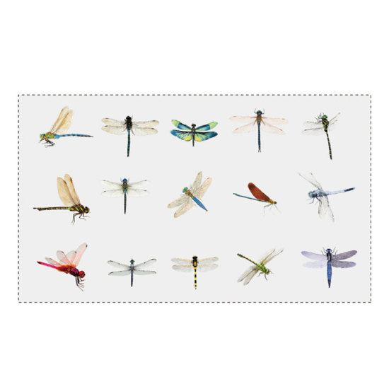 Picture of DIY Scrapbook Deco Stickers Multicolor Dragonfly Animal Transparent 14cm x 10.5cm, 1 Set ( 30 PCs/Set)