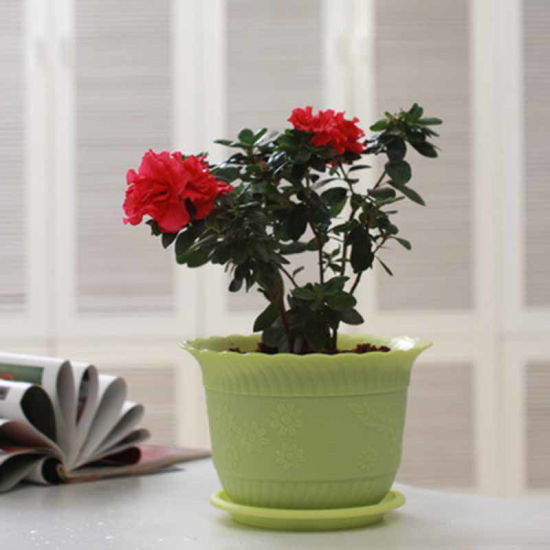 Image de Rose - Pot de fleur en résine avec plateau pour décoration de bureau à domicile de jardin de plantes 19x14cm, 1 Kit