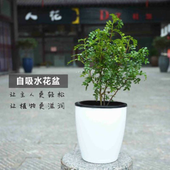 Picture of White - Style5 Pocketgarden Lazy Flower Pots Automatic Water - absorbing Flowers Pot Storage Plastic Flower Pots