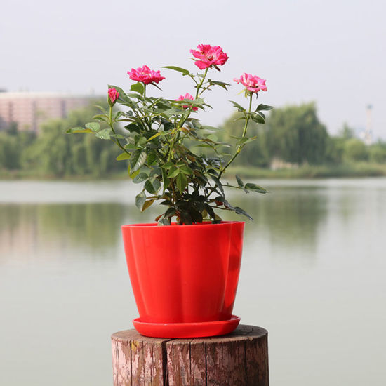 Image de Rouge - Style2 Jardinage Pots De Fleurs avec Plateau Bas en Résine Plastique